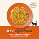 Applaws Cat Pouch Chicken with Pumpkin - Пауч за котки с пиле и тиква - 70 г