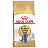 Royal Canin British Shorthair Adult - Пълноценна суха храна за британски късокосмести котки в зряла възраст над 12 месеца