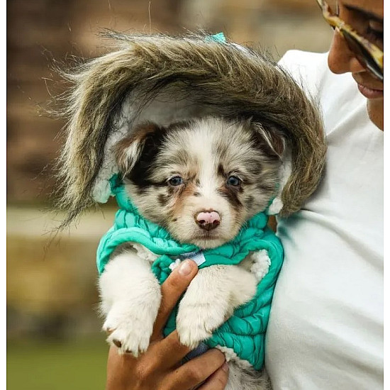 Freedog Pooch Coat Turquoise - Непромокаемо яке за кучета с качулка, тюркоаз