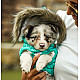 Freedog Pooch Coat Turquoise - Непромокаемо яке за кучета с качулка, тюркоаз