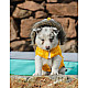 Freedog Pooch Coat Yellow - Непромокаемо яке за кучета с качулка, жълто