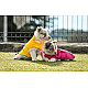 Freedog Pooch Coat Yellow - Непромокаемо яке за кучета с качулка, жълто