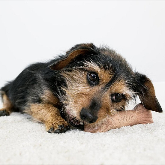 KONG Chew Stix - Играчка за кучета - клон за дъвкане от дърво и бекон