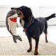 KONG Cuteseas Rufflez Shark - Плюшена акула играчка за куче