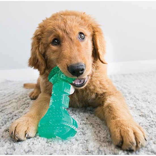 KONG Dental Stick - Дентална играчка за кучета