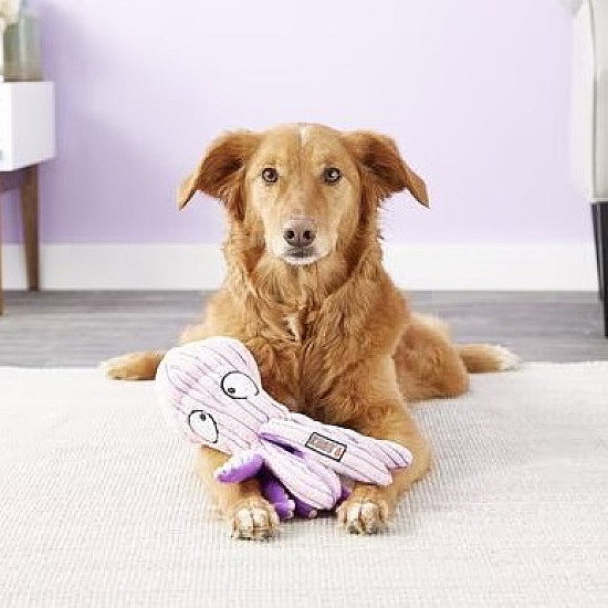KONG Cuteseas Octopus - Плюшена играчка за куче октопод с пищялка и пукащ звук