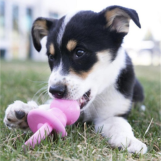 KONG Puppy Binkie - Гумен биберон със звук за подрастващи кученца