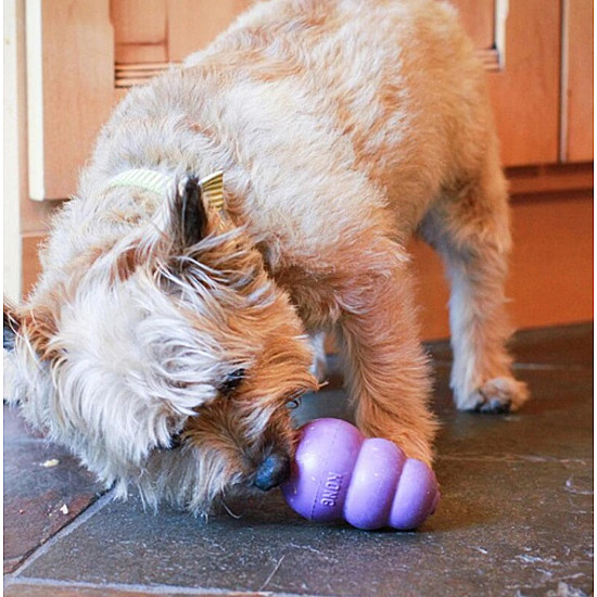 KONG Senior Toy - Играчка за възрастни кучета