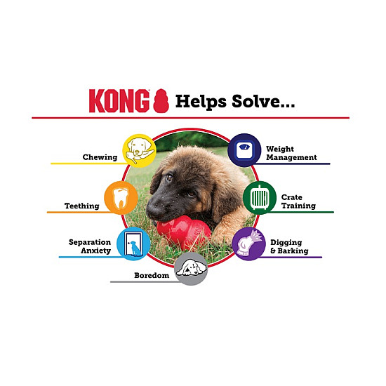 KONG Senior Toy - Играчка за възрастни кучета