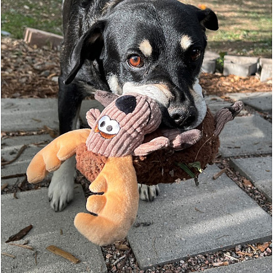 KONG Sherps Floofs Moose M - Плюшена играчка за куче