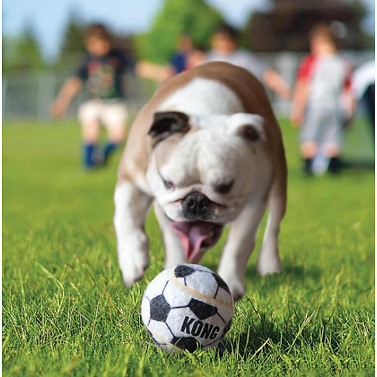 KONG Sport Balls - Топки за кучета