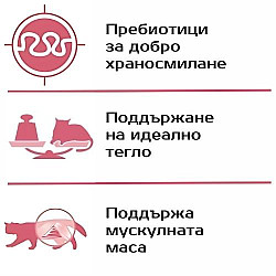 Monge Sterilized Cat Adult Mono Beef - Суха храна за кастрирани котки с монопротеин говеждо - 1.5 кг