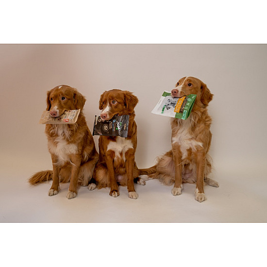 Nature’s Protection Healthy Digestion Poultry - Лакомства за чуствителни и алергични кучета - 110 гр