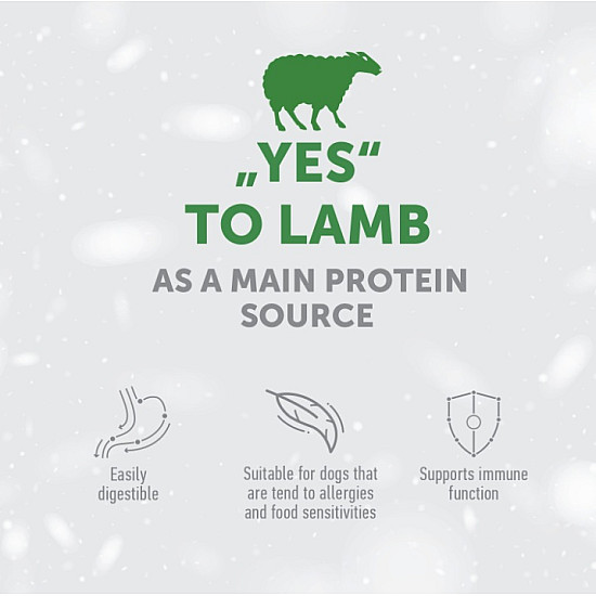 Nature’s Protection White Dogs Lamb Adult Small and Mini Breeds -  Суха храна за възрастни кучета от малки и мини породи с бяла или светла козина.