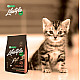 Nature's Protection Lifestyle Grain Free Salmon Kitten - Суха храна без зърно с вкус на сьомга за малки котенца
