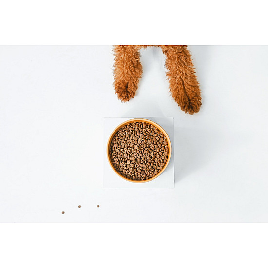 Nature’s Protection Red Coat Grain Free Salmon Adult Small and Mini Breeds - Суха храна без зърно за израснали кучета от малки и мини породи с червена или рижа козина