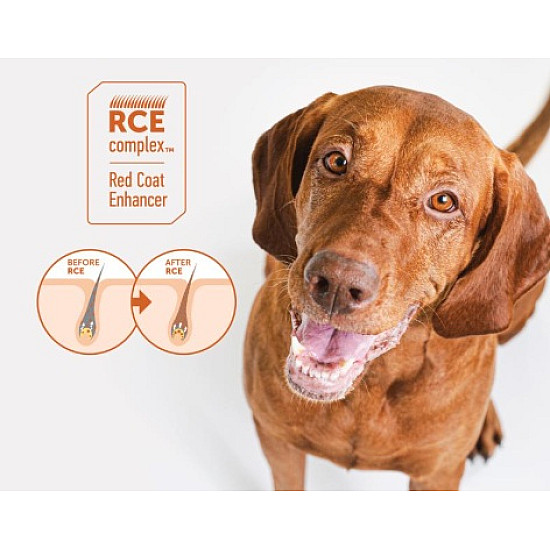 Nature’s Protection Red Coat Grain Free Salmon Adult All Breeds - Суха храна без зърно за израснали кучета от всички породи с червена козина със сьомга - 10 кг