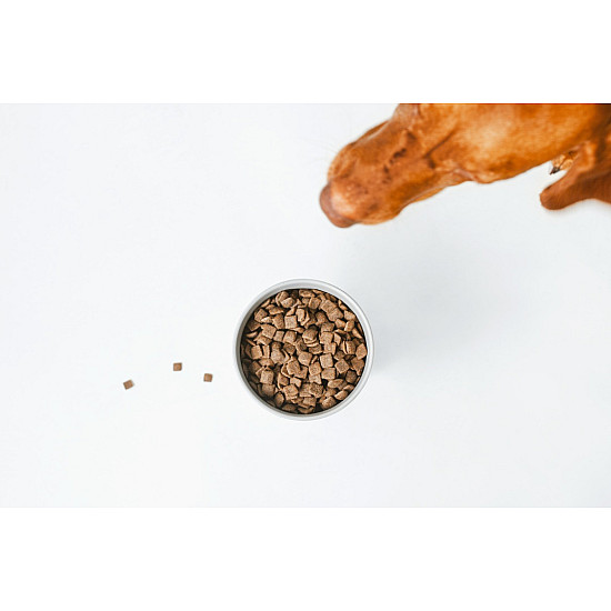 Nature’s Protection Red Coat Grain Free Salmon Adult All Breeds - Суха храна без зърно за израснали кучета от всички породи с червена козина със сьомга - 10 кг