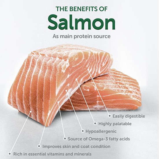 Nature’s Protection White Dogs Grain Free Salmon Junior All Breeds - Пълноценна храна без зърно със сьомга за подрастващи кучета от всички породи с бяла козина