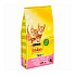 Friskies Junior Cat Chicken - Суха храна за малки котенца с пиле, моркови, млечни гранули - 10кг