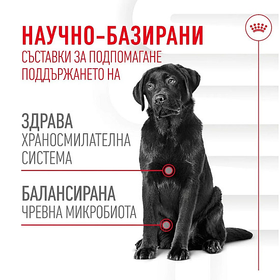 Royal Canin Adult Dog Supplement Digestion - Хранителна добавка за кучета в зряла възраст за по-добро храносмилане 160 гр