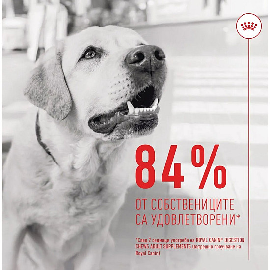 Royal Canin Adult Dog Supplement Digestion - Хранителна добавка за кучета в зряла възраст за по-добро храносмилане 160 гр