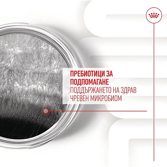 Royal Canin Adult Dog Supplement Digestion - Хранителна добавка за кучета в зряла възраст за по-добро храносмилане 160 гр