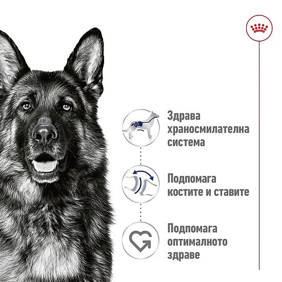 Royal Canin Maxi Adult Dog Can in Loaf - Консерва за кучета от едри породи 410гр