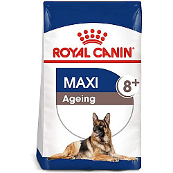 Royal Canin Maxi Dog Ageing 8 + - Пълноценна храна за застаряващи кучета от едри породи над 8 години