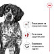 Royal Canin Medium Adult Dog Can in Loaf - Консерва за кучета от средни породи в зряла възраст - 410 гр