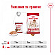 Royal Canin Medium Adult Dog Can in Loaf - Консерва за кучета от средни породи в зряла възраст - 410 гр