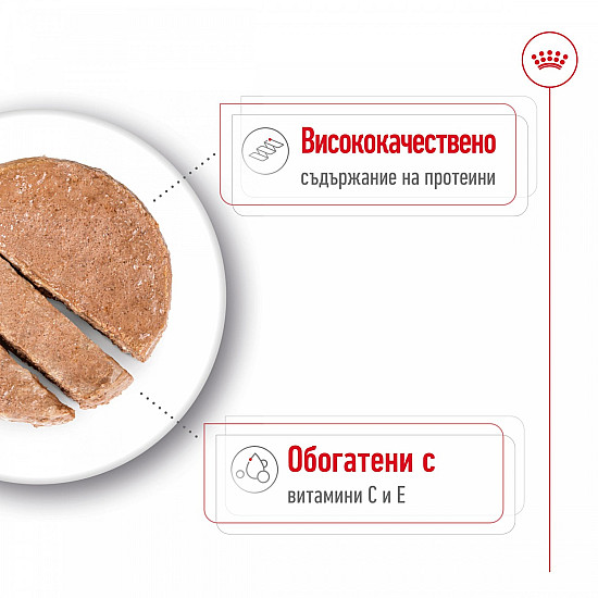 Royal Canin Medium Adult Dog Can in Loaf - Консерва за кучета от средни породи в зряла възраст - 410 гр