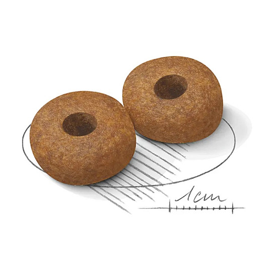 Royal Canin Medium Ageing 10+ – Суха храна за възрастни кучета от средни породи над 10 години - 15 кг