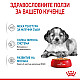 Royal Canin Puppy Medium Pouch - Паучове за малки кученца от средни породи 10х140гр
