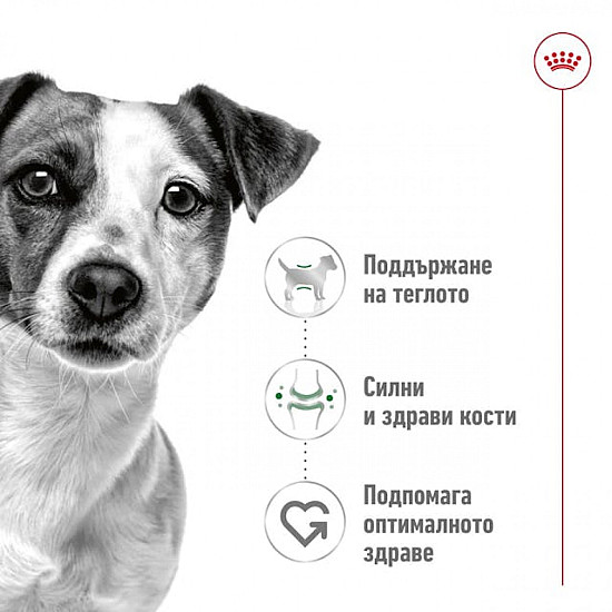 Royal Canin Mini Adult Dog Loaf Can - Консерва за кучета от дребни породи в зряла възраст 195гр 