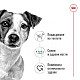 Royal Canin Mini Adult Dog Loaf Can - Консерва за кучета от дребни породи в зряла възраст 195гр 