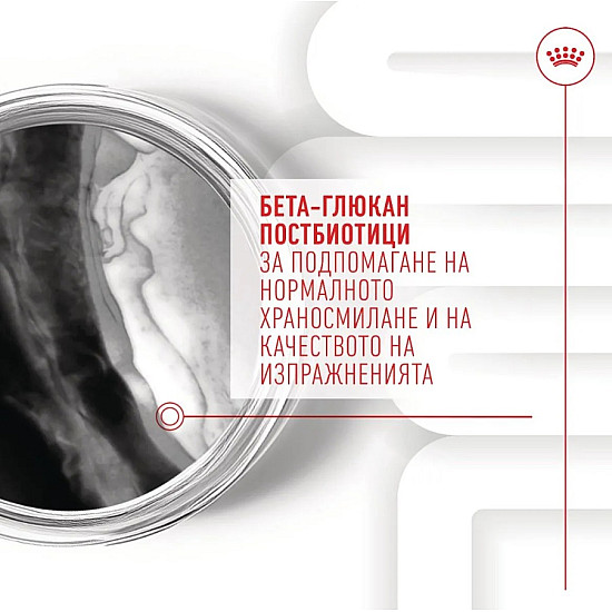 Royal Canin Puppy Suppllement Immunity and Digestion - Хранителна добавка за малки кученца за имунитет и добро храносмилане
