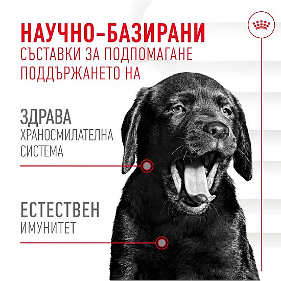 Royal Canin Puppy Suppllement Immunity and Digestion - Хранителна добавка за малки кученца за имунитет и добро храносмилане