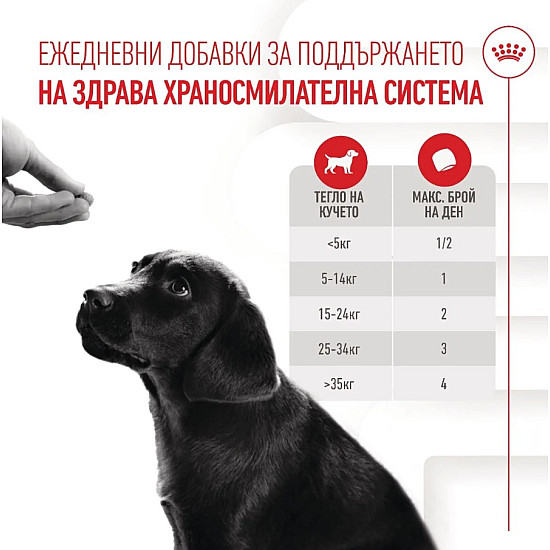 Royal Canin Puppy Suppllement Immunity and Digestion - Хранителна добавка за малки кученца за имунитет и добро храносмилане