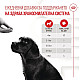 Royal Canin Puppy Suppllement Immunity and Digestion - Хранителна добавка за малки кученца за имунитет и добро храносмилане