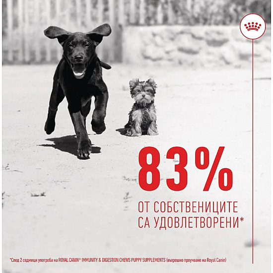 Royal Canin Puppy Suppllement Immunity and Digestion - Хранителна добавка за малки кученца за имунитет и добро храносмилане