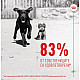 Royal Canin Puppy Suppllement Immunity and Digestion - Хранителна добавка за малки кученца за имунитет и добро храносмилане