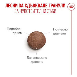 Royal Canin Cat Ageing 11+ - Суха храна за котки над 11 годишна възраст