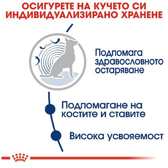 Royal Canin Maxi Dog Ageing 8 + - Пълноценна храна за застаряващи кучета от едри породи над 8 години