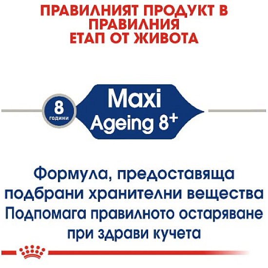 Royal Canin Maxi Dog Ageing 8 + - Пълноценна храна за застаряващи кучета от едри породи над 8 години