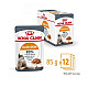 Royal Canin Hair and Skin in Gravy 12x85g - Пълноценна мокра храна пауч за  котки над 12 месеца за подпомагане здравата кожа и бляскава козина