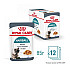 Royal Canin Hairball Care In Jelly 12 x 85- Пълноценна храна за котки в зряла възраст, склонни към образуване на космени топки – пауч парченца в желе
