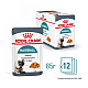 Royal Canin Hairball Care In Jelly 12 x 85- Пълноценна храна за котки в зряла възраст, склонни към образуване на космени топки – пауч парченца в желе