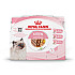 Royal Canin Kitten Multipack - Пълноценна мокра храна за котенца и бременни котки - 4х85 гр