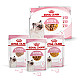 Royal Canin Kitten Multipack - Пълноценна мокра храна за котенца и бременни котки - 4х85 гр